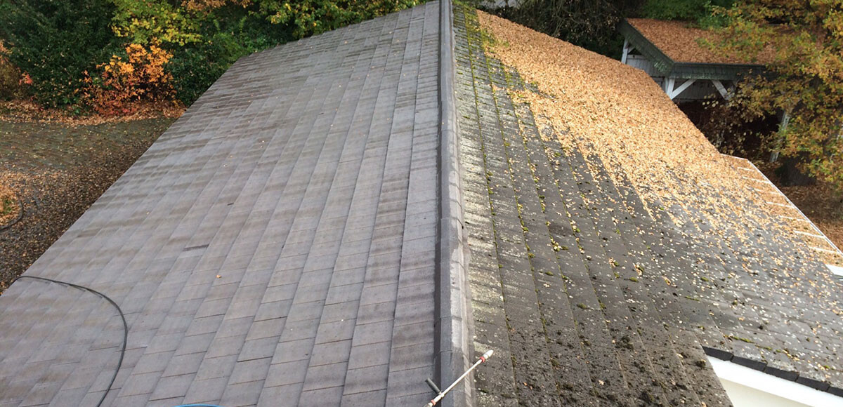 Fassadenreinigung am Schloss Weissenhaus